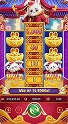Fortune Rabbit · Panduan Antarmuka dan Pengenalan Fitur Slot Fortune Rabbit